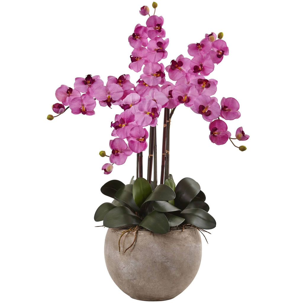 4.5 ft. Golden Cane Palm with Decorative Container C69571