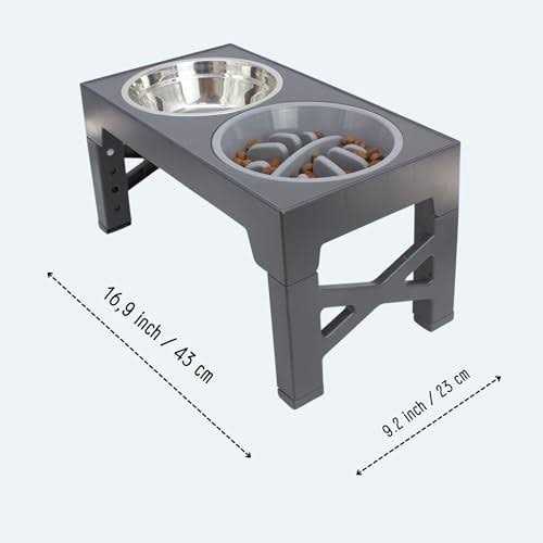 Elevated Slow Feeder Dog Bowls Set with 5 Adjustable Heights H74914