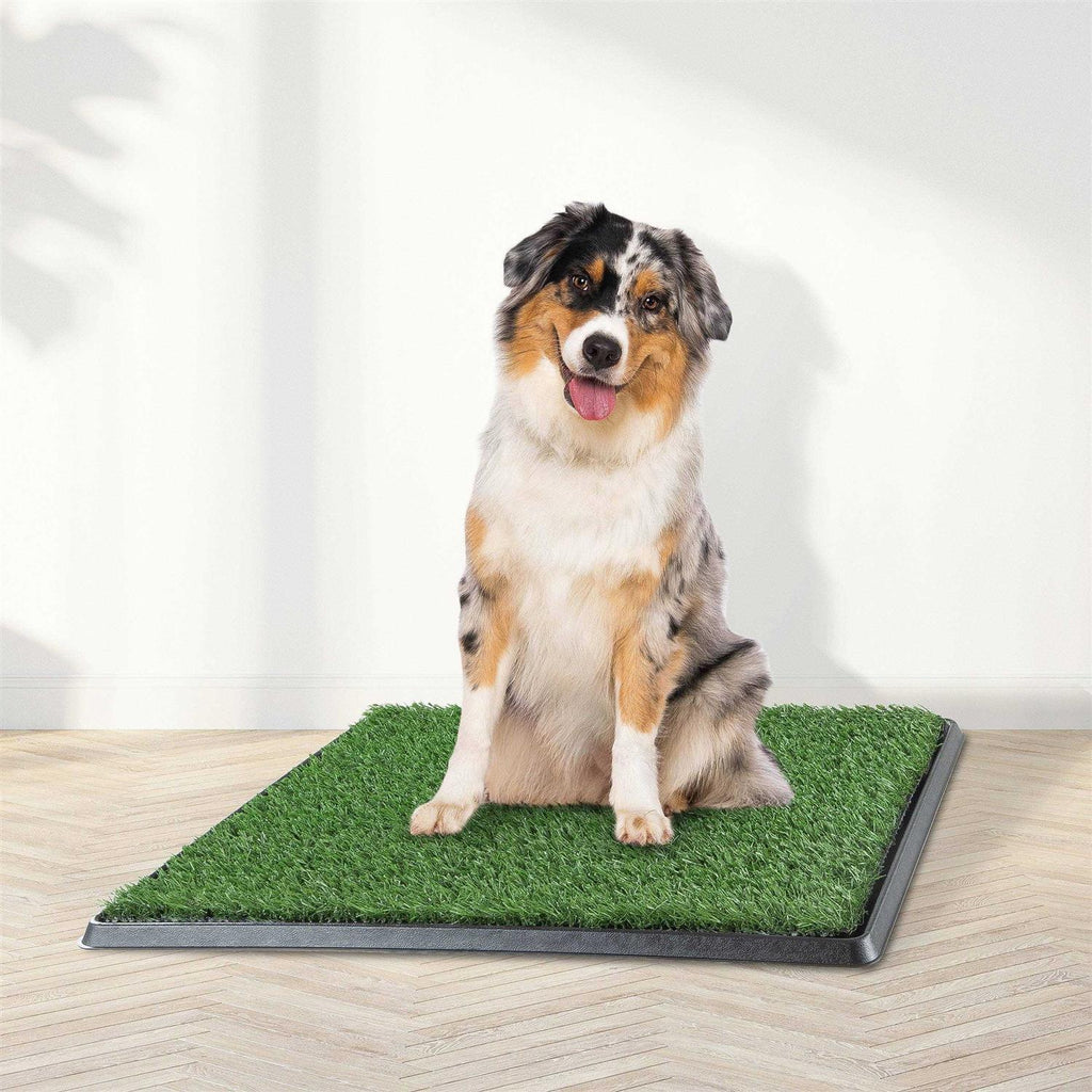 Artificial Grass Dog Potty Pad with Tray Q371855