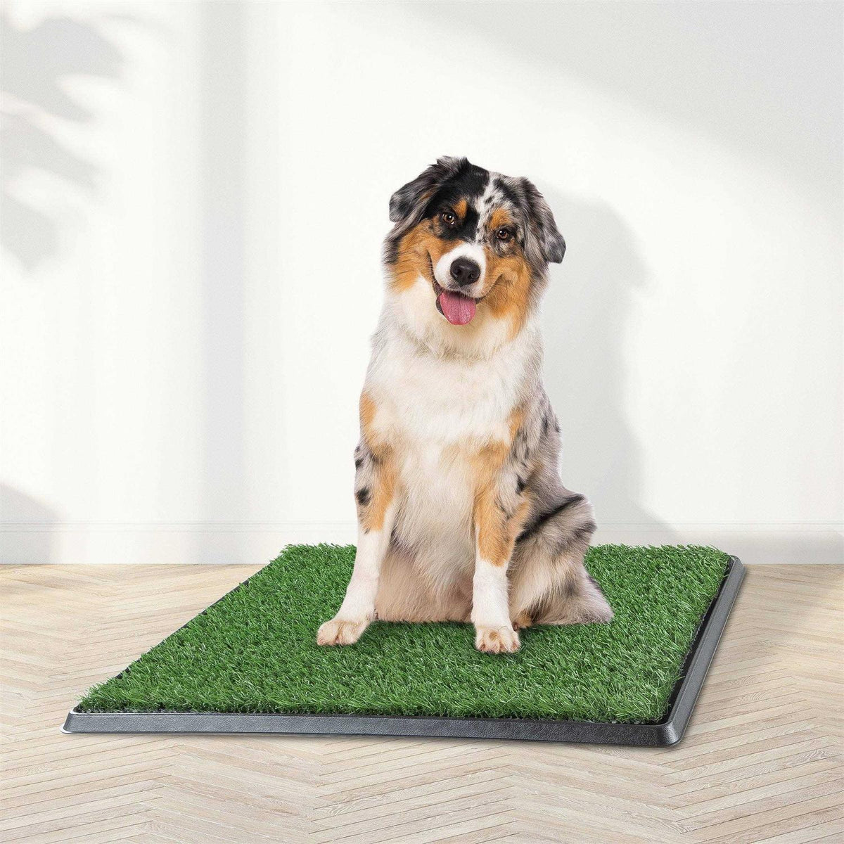 Artificial Grass Dog Potty Pad with Tray Q371855