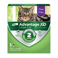 Cat Flea Prevention & Treatment Q761