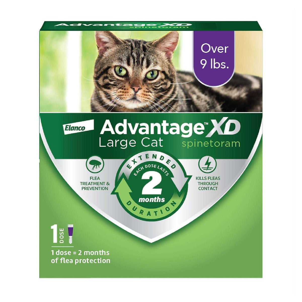 Cat Flea Prevention & Treatment Q761