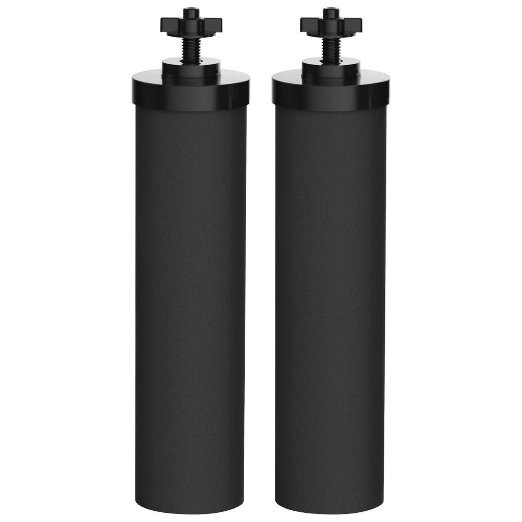 Water Filter Replacement Pack of 2 R401494