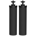 Water Filter Replacement Pack of 2 R401494