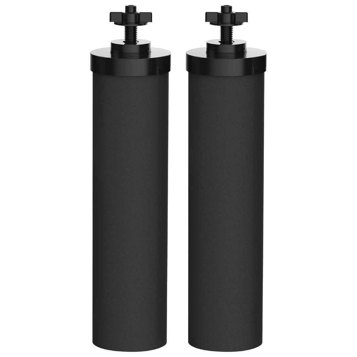 Water Filter Replacement Pack of 2 R401494