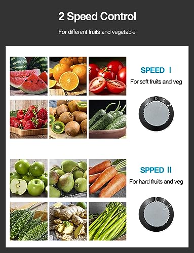 800W Centrifugal Juicer Extractor with Wide Mouth 3” Feed Chute, Stainless Steel, Black D2698