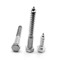 Hex Lag Screw Low Carbon Steel Zinc Plated Pk 50 W32776