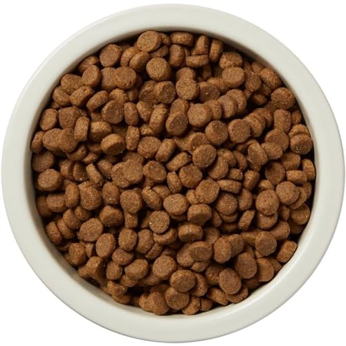 Dry Dog Food, Salmon and Brown Rice, 30 lb Bag H70530