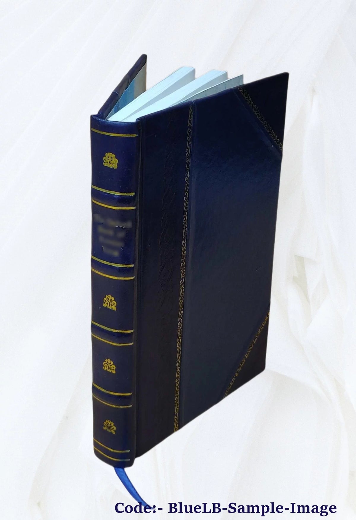 1906 Astoria City and Clatsop County Directory [Leather Bound] S594