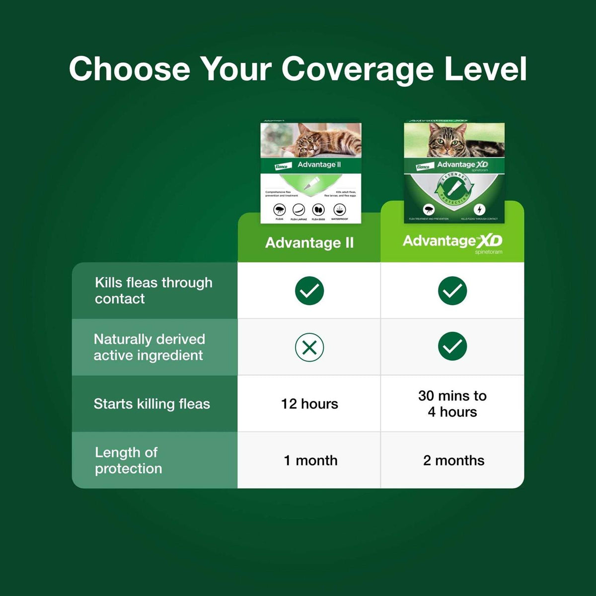Cat Flea Prevention & Treatment Q761
