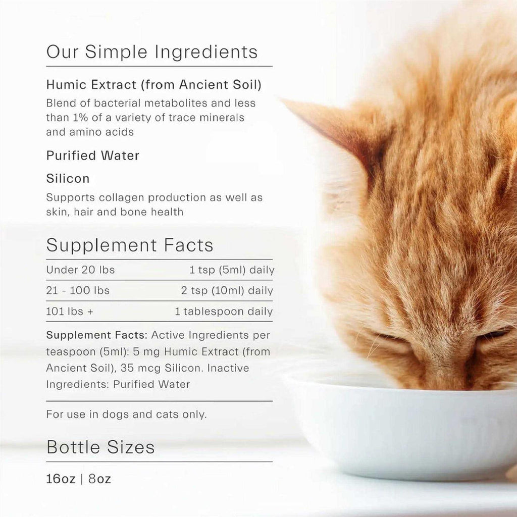Gut Support For Pets Q734107
