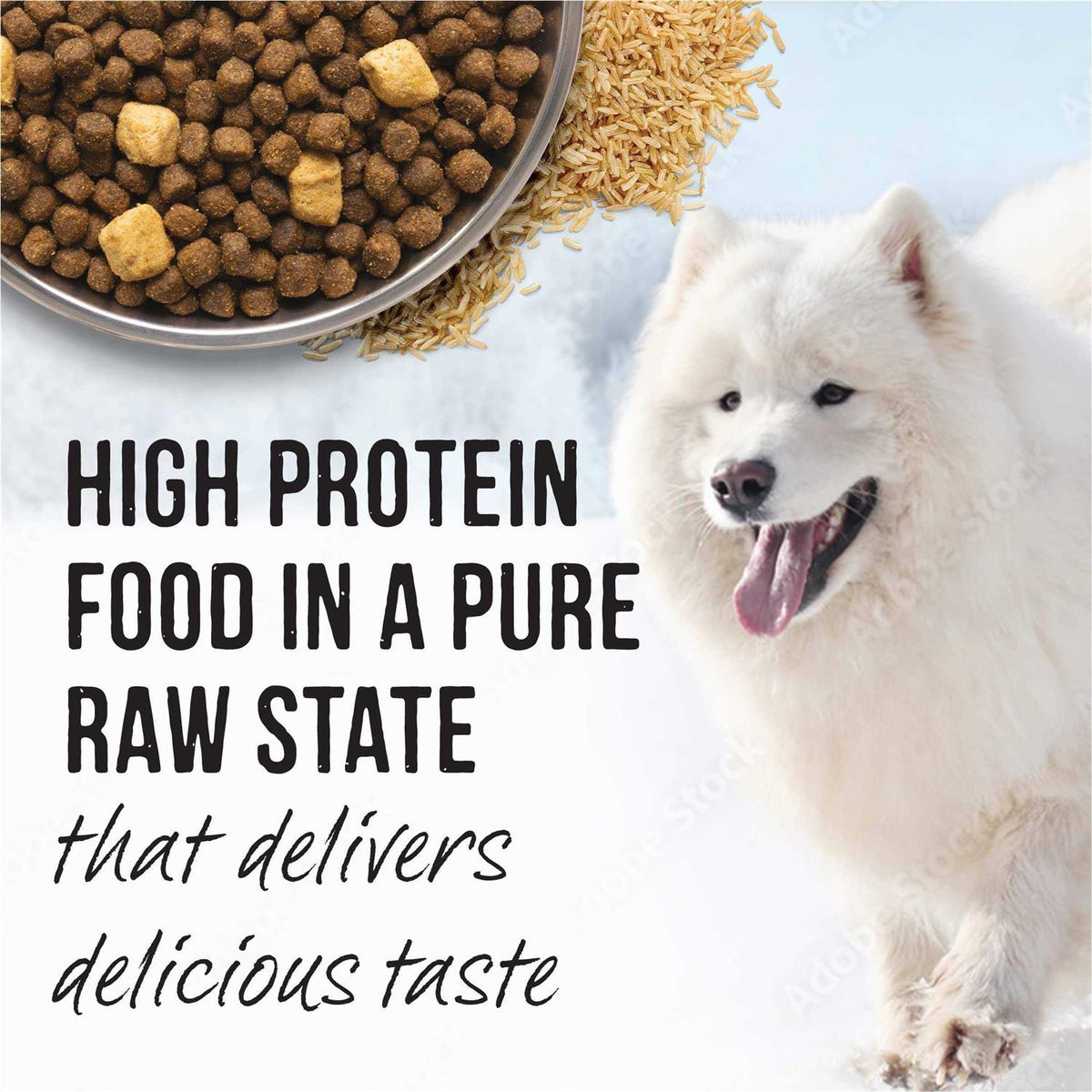 Grain Free Dry Dog Food H762888