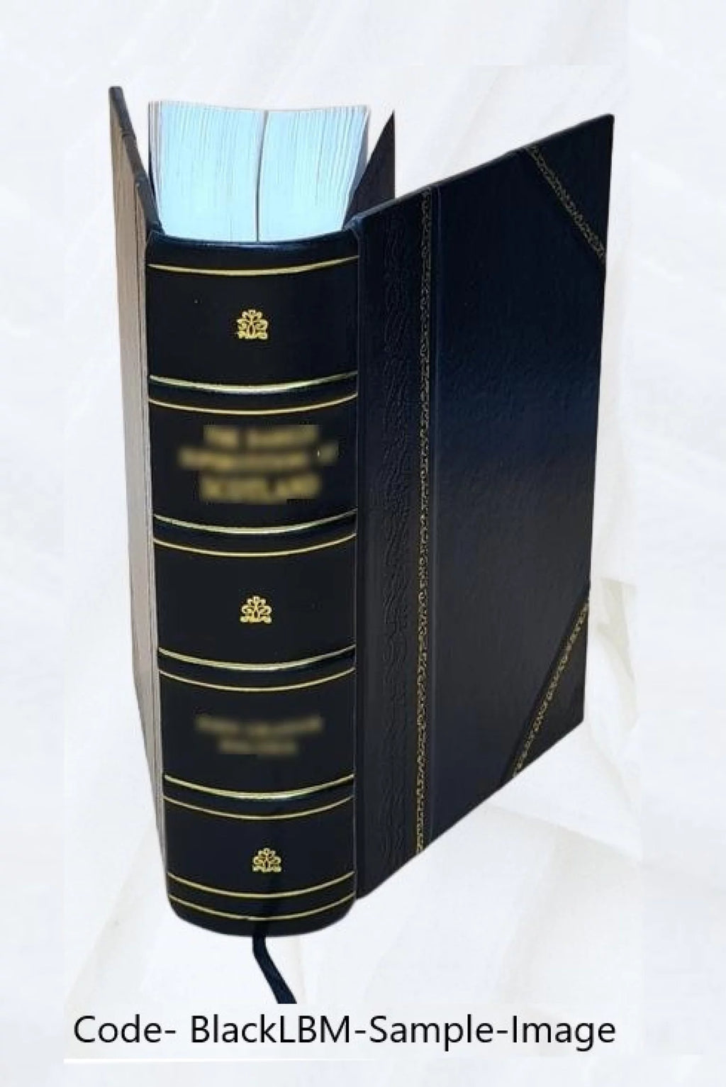 Electric Law Treatise Volume 2 Leather Bound H31548