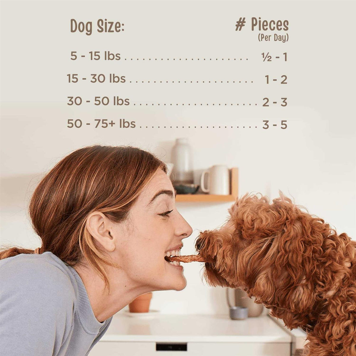 Beef Jerky Dog Treats W522978