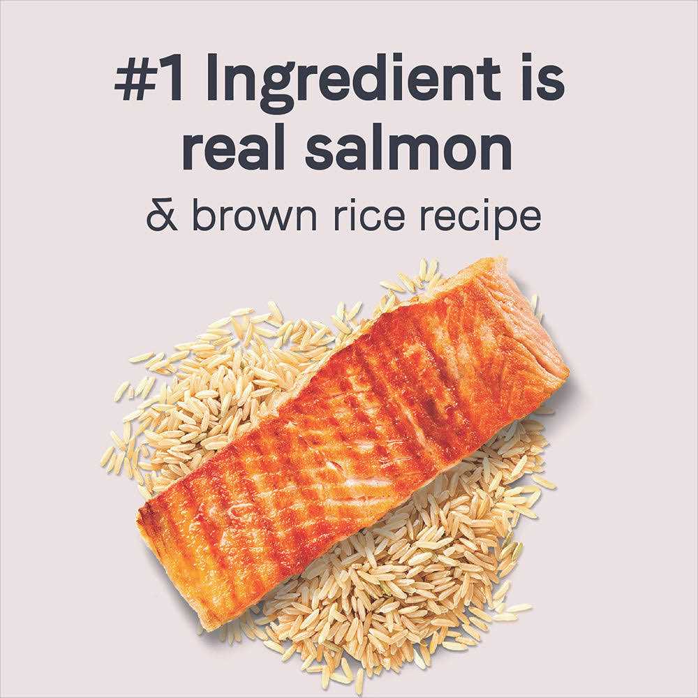 Salmon & Brown Rice Dry Dog Food Z510