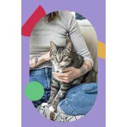 Immune Support Cat Treat K6420