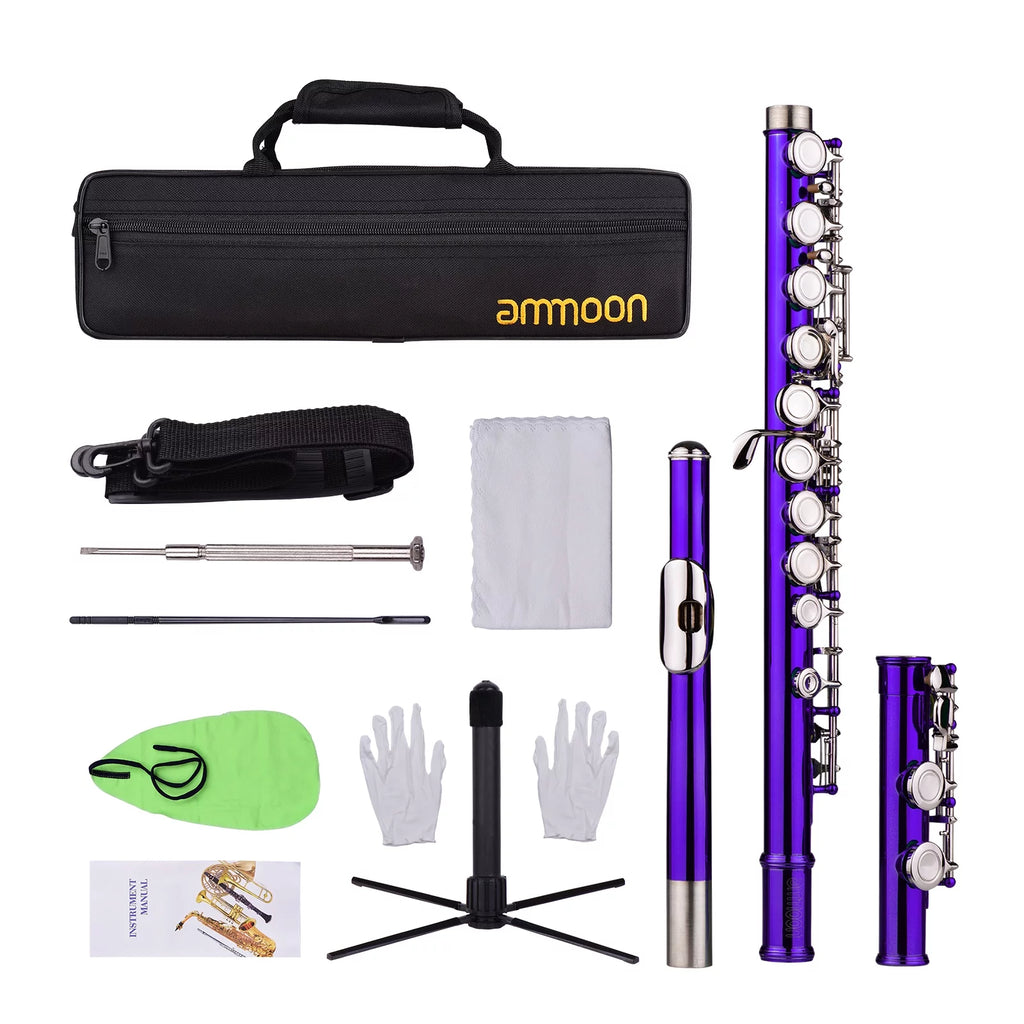 16 Keys Cupronickel Nickel-plated Closed Hole C Flute with Carry Case H782167