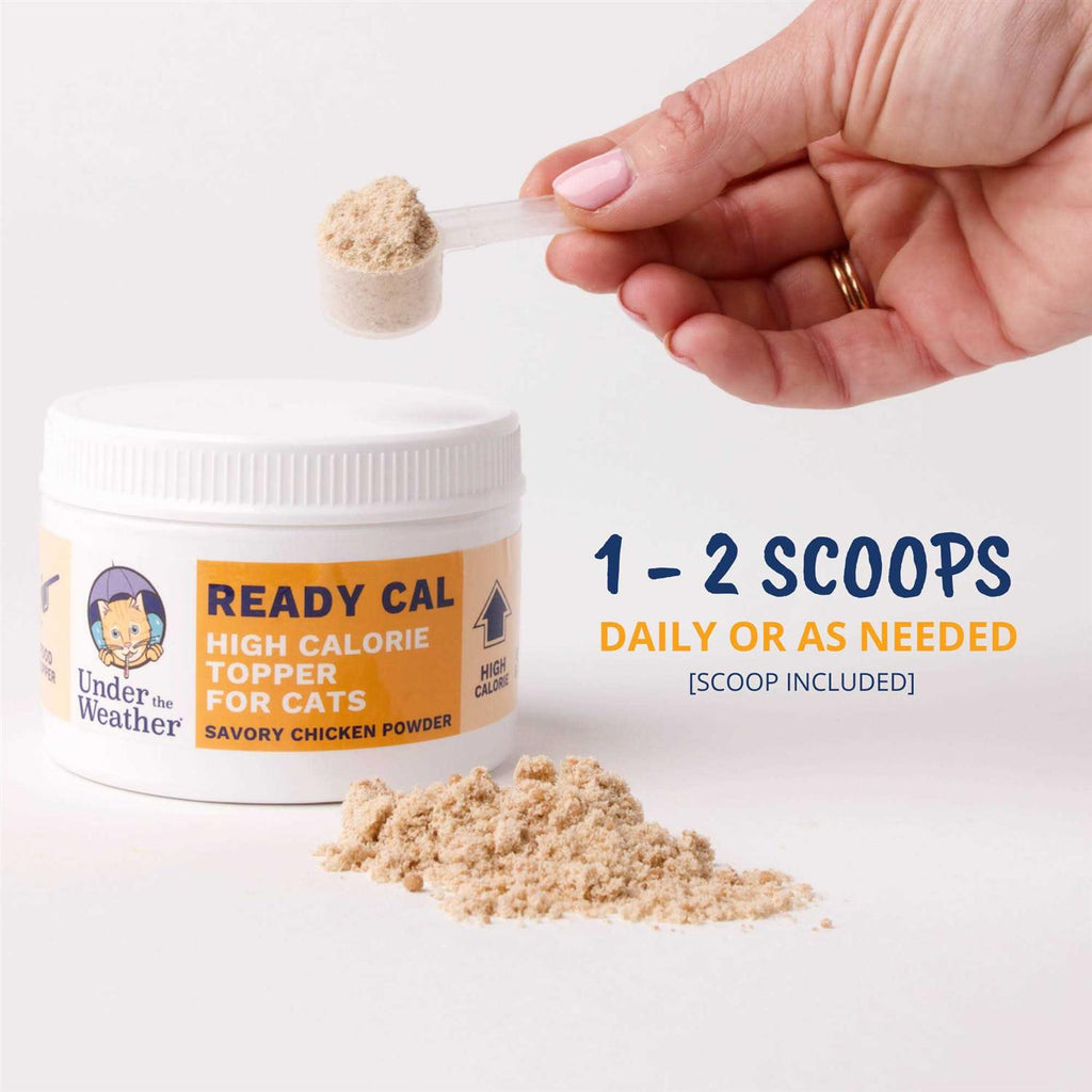 High Calorie Powder for Cats Q764