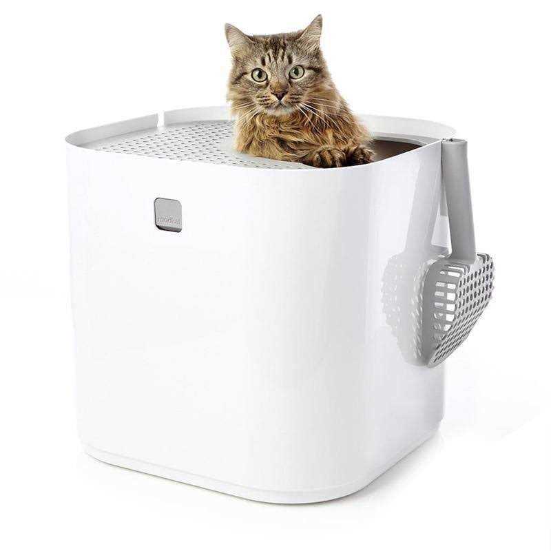 Litter Box X1634