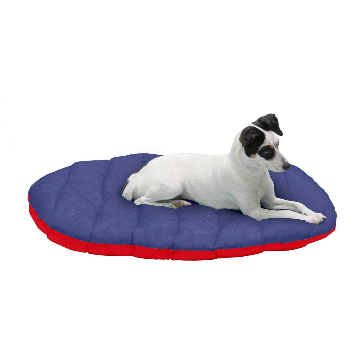 Packable Travel Dog Bed S282