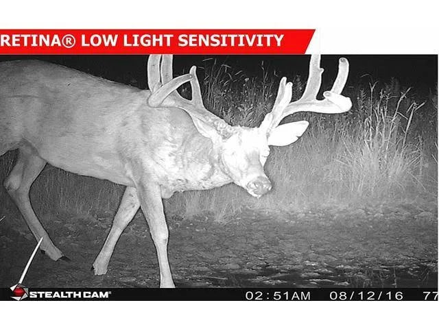 12 Mp Game Camera N555377
