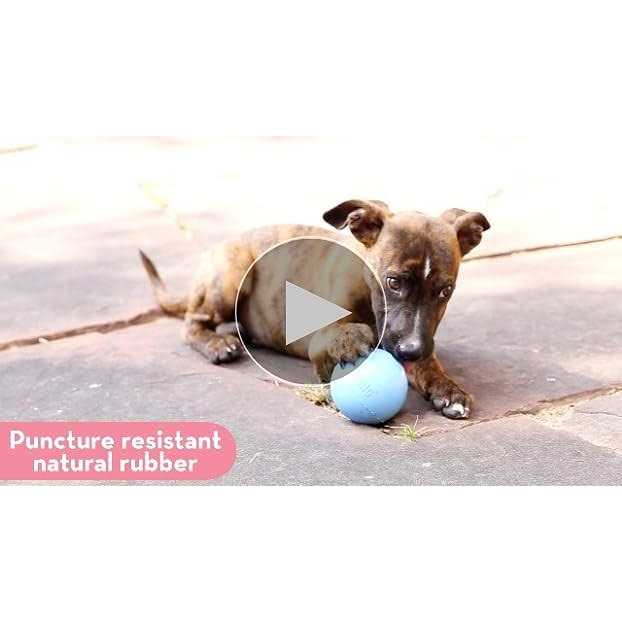 Puppy Ball Dog Toy P1797