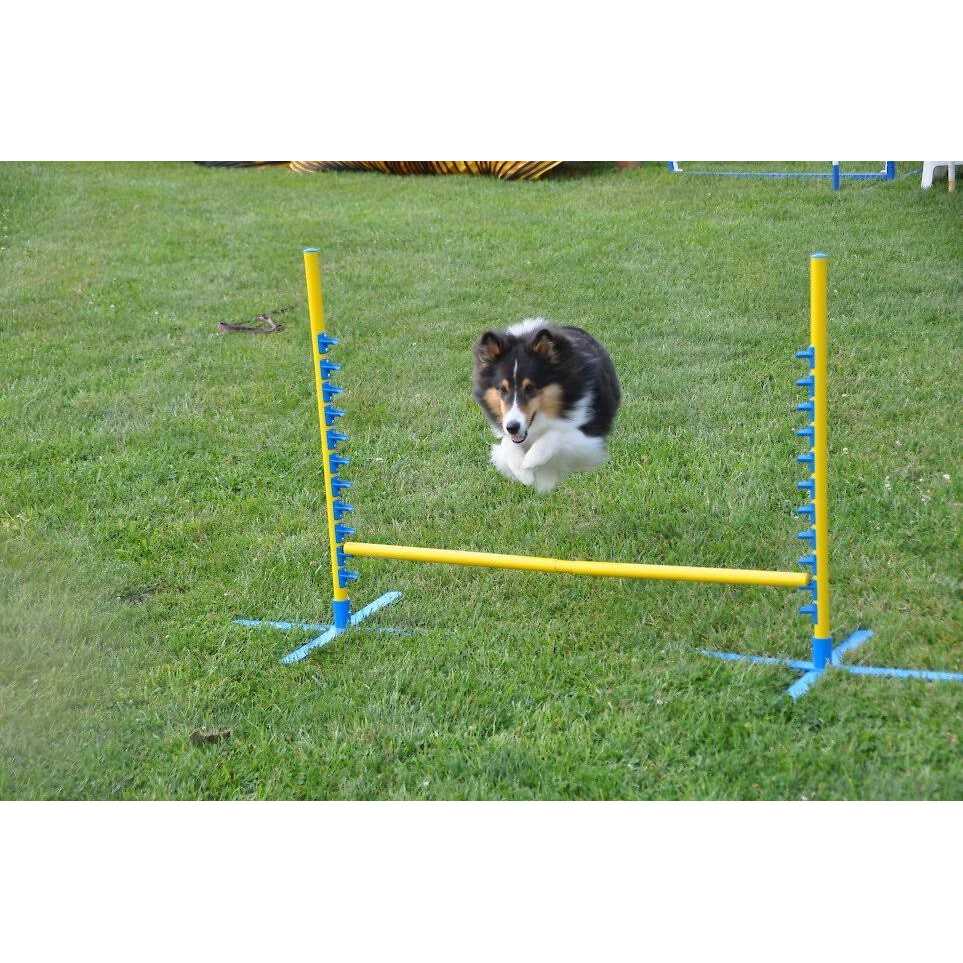 Dog Training Pedestal Jump I750