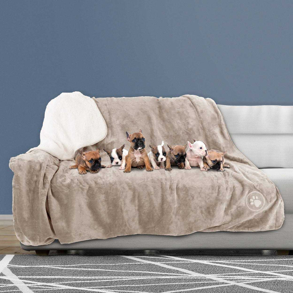 Waterproof Pet Blanket Throw T8755