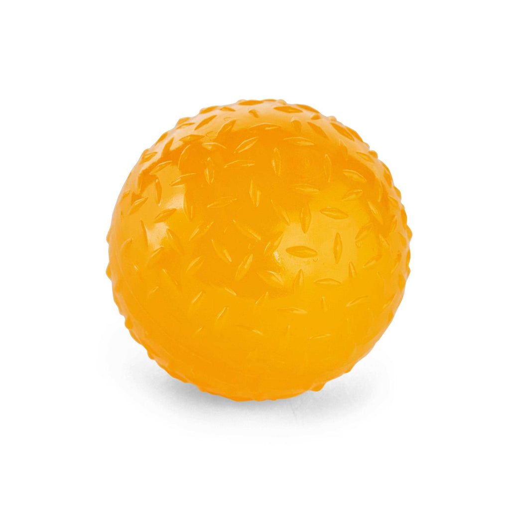 Glow-in-The-Dark Bouncy Ball Dog Toy I3004