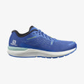 Salomon Sonic 4 Balance F854045