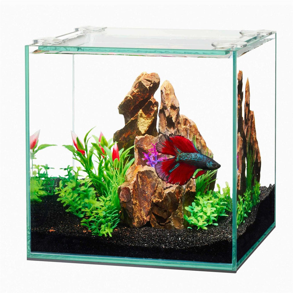 Frameless Cube Aquarium O6388