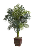 4.5 ft. Golden Cane Palm with Decorative Container C69571