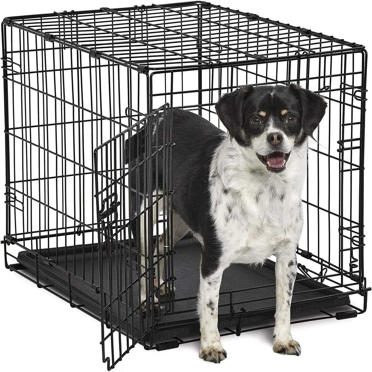 Single-Door Dog Crate M943