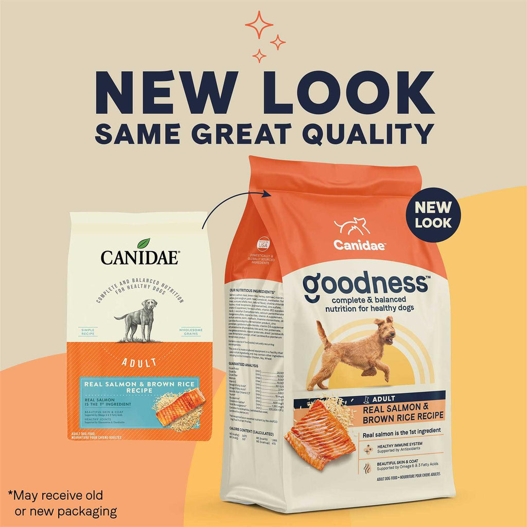 Salmon & Brown Rice Dry Dog Food Z510