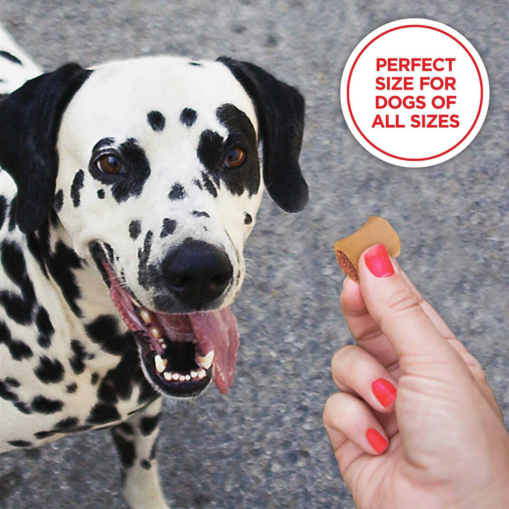Dog Treats L177