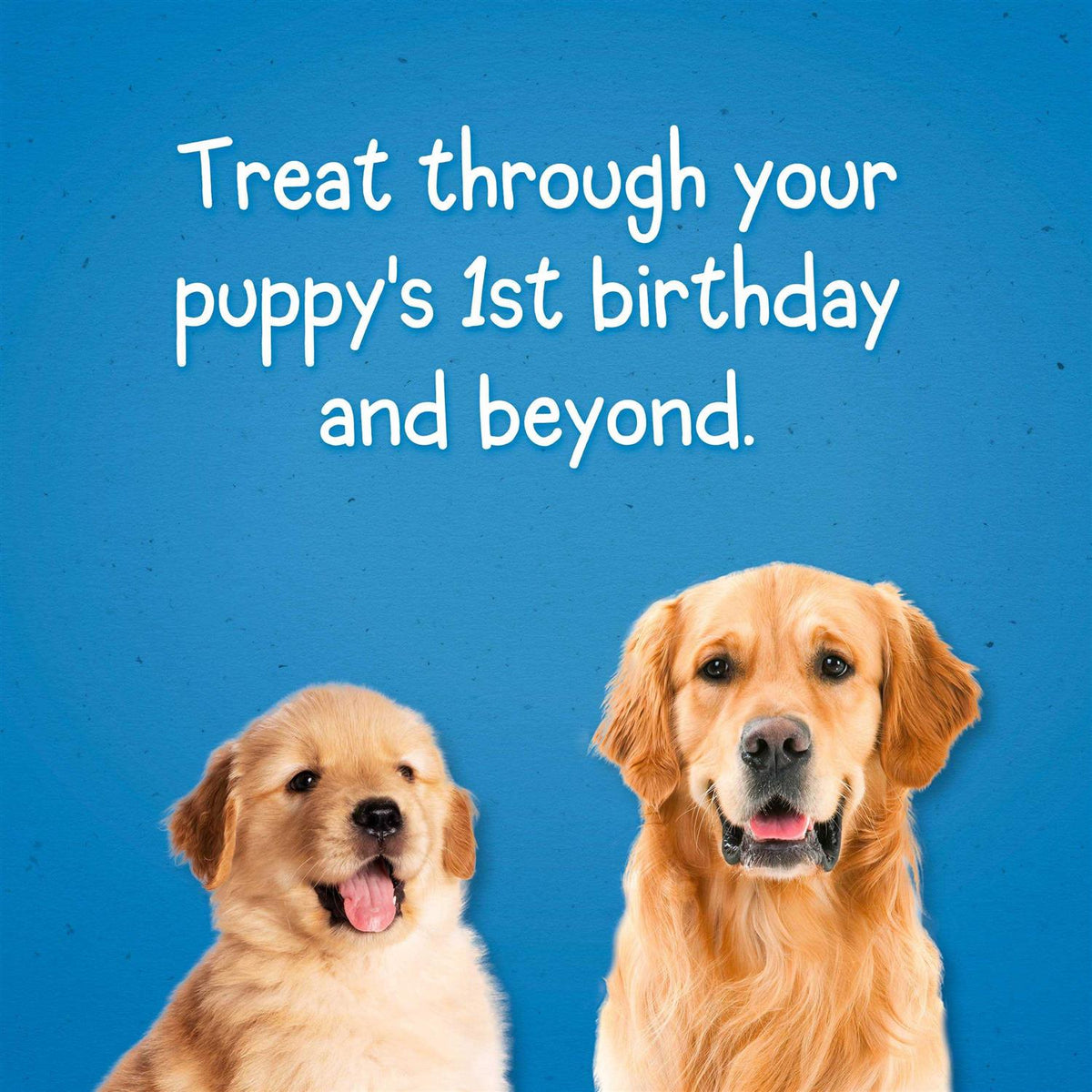 Dog Training Treats R660421