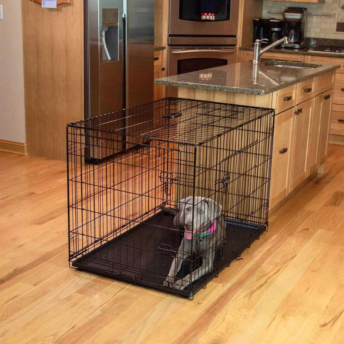Single-Door Dog Crate M943