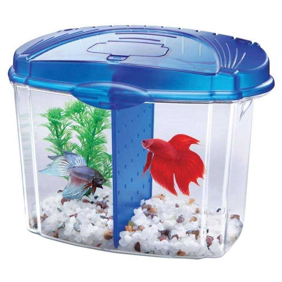 Betta Bowl Kit K6160