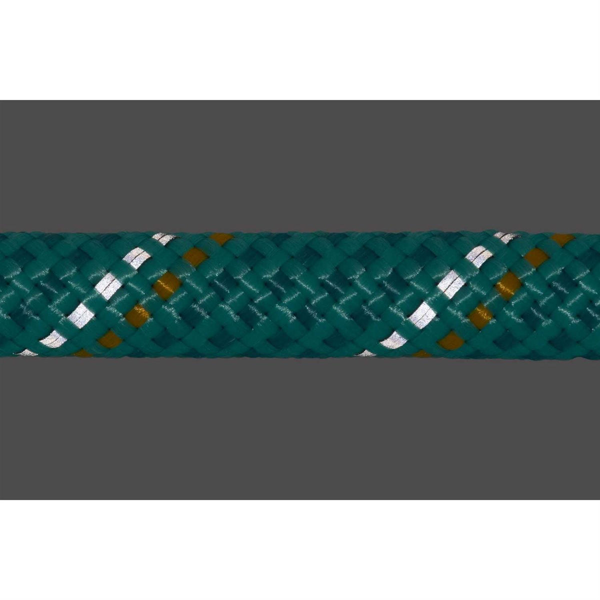 Leash S92445