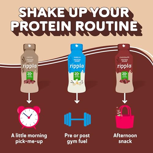 Chocolate 20g Plant Based Pea Protein Shake 12 Oz, 12 Pack Y329