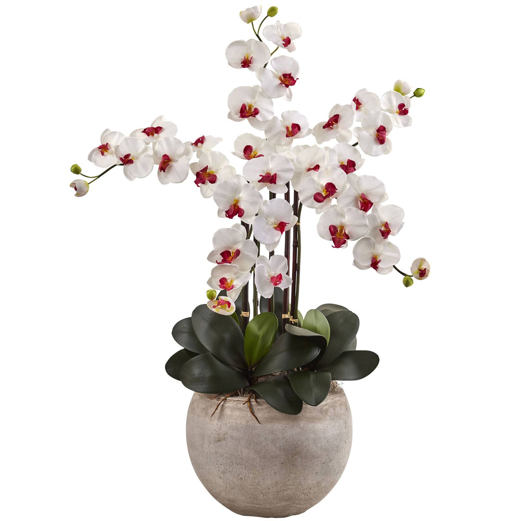 4.5 ft. Golden Cane Palm with Decorative Container C69571