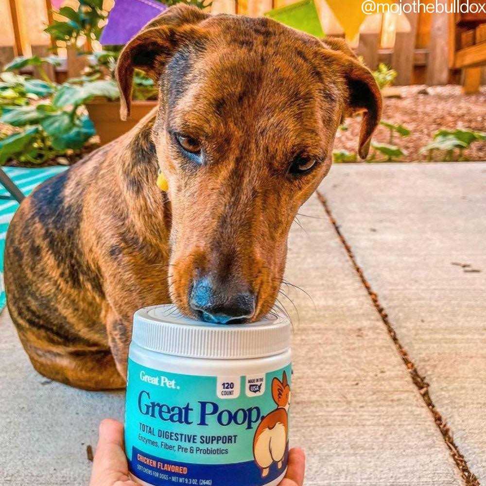 Probiotics for Dogs Digestive Enzymes Supplement P1123