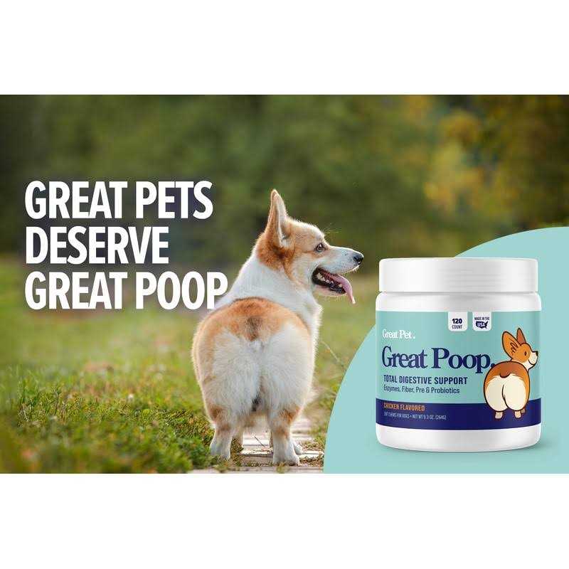 Probiotics for Dogs Digestive Enzymes Supplement P1123