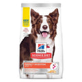Adult Perfect Digestion Dog Food F240317