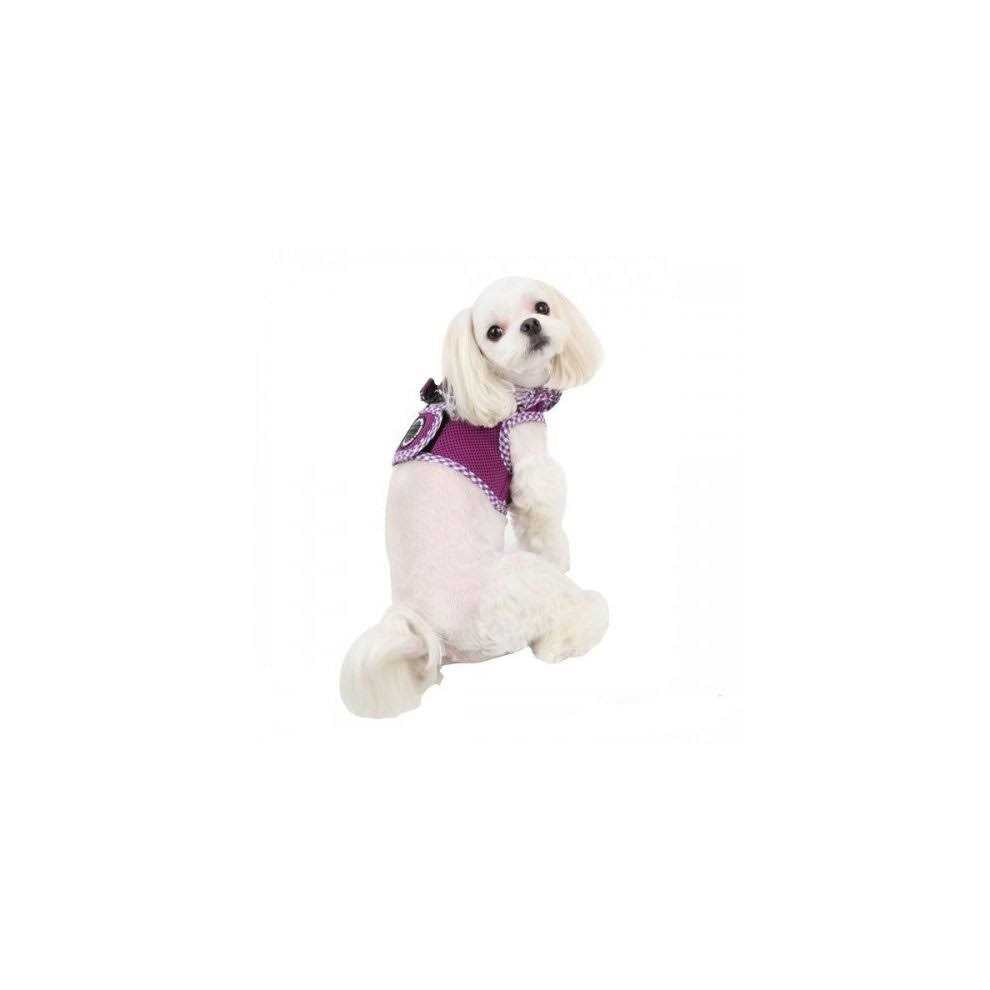 Pet Harness L505