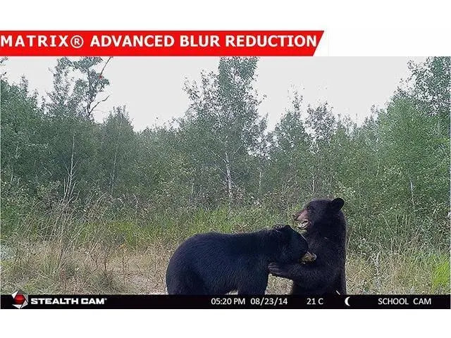 12 Mp Game Camera N555377
