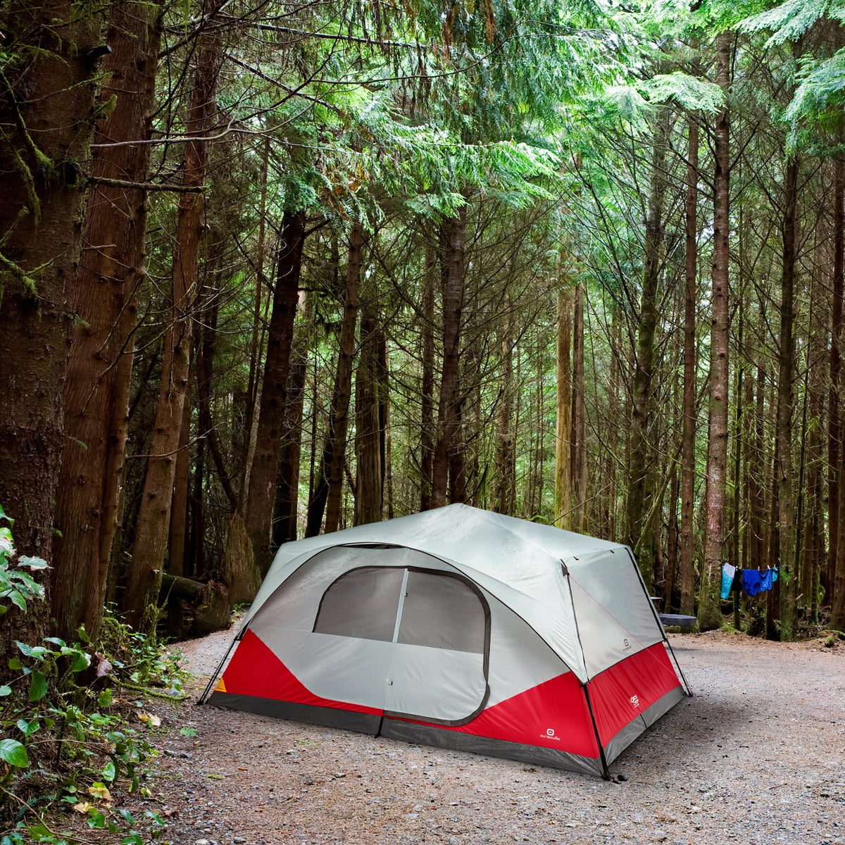 6 Person Cabin Tent with Rainfly and Carry Bag Z867