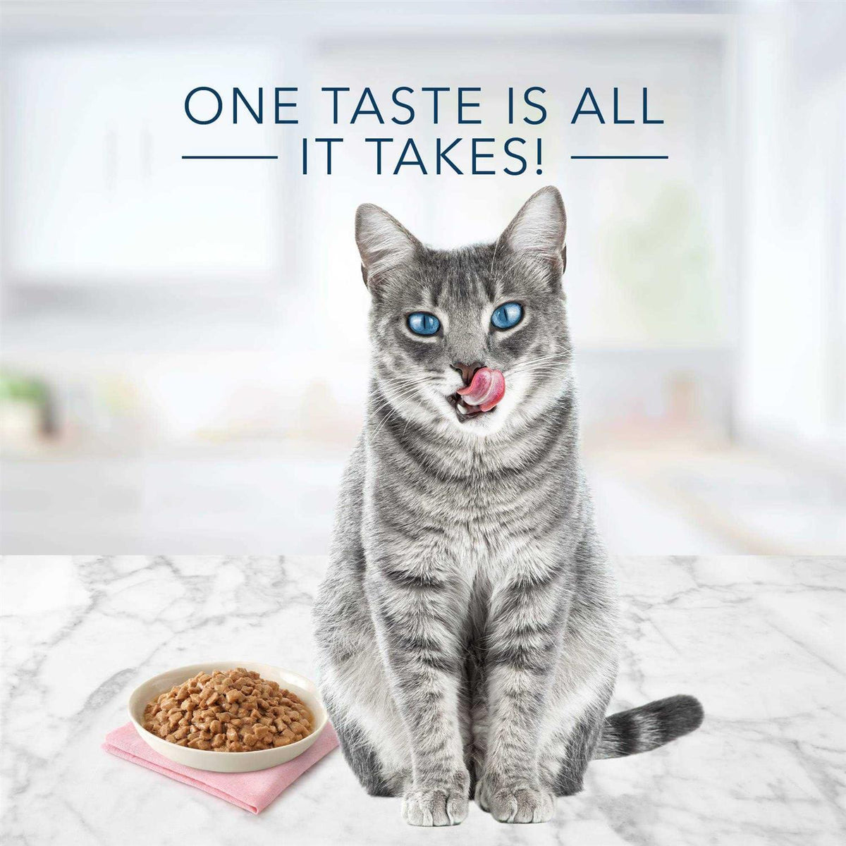 Cat Food Entree Q4986