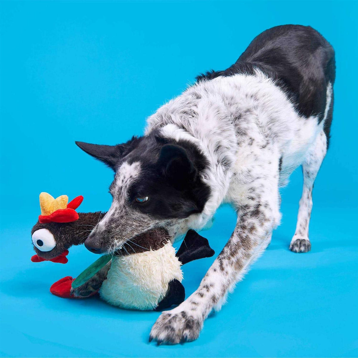Dog Toy X5394