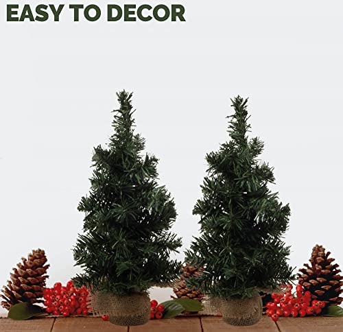 2 Pack Mini Artificial Pine Christmas Tree Table Top Decorations O1065